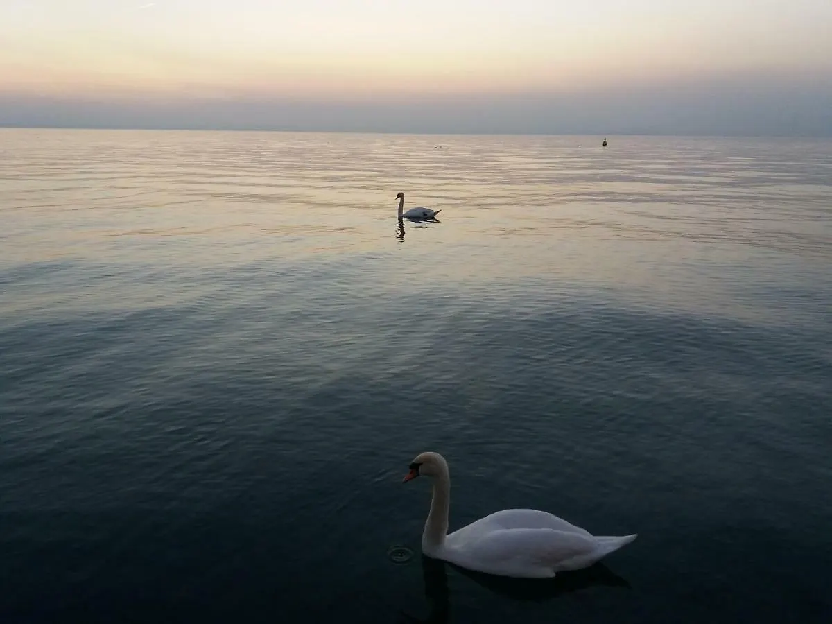 Casa Agnese Apartment Lazise